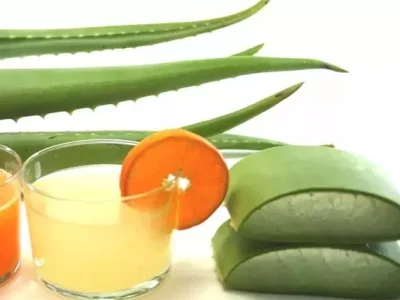 zumo-aloe-bio-pulpa-fresca-aloeplant